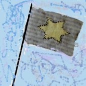 Flag with Pole color